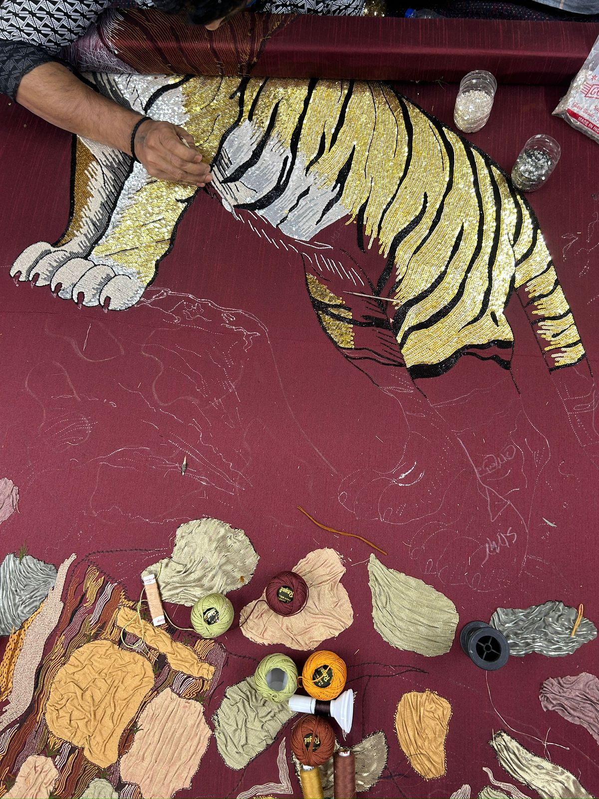 Vyaghra Vaibhav (Tiger’s Splendor)